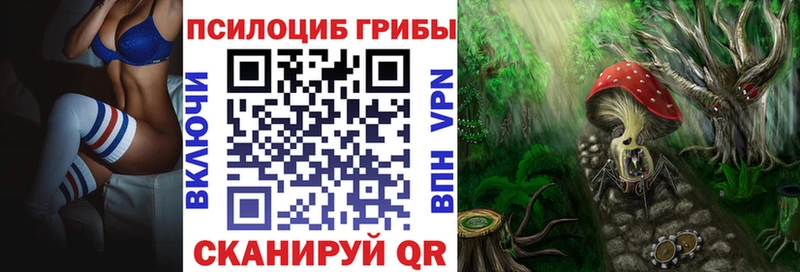 Купить где  Ряжск  Галлюциногенные грибы прущие грибы 